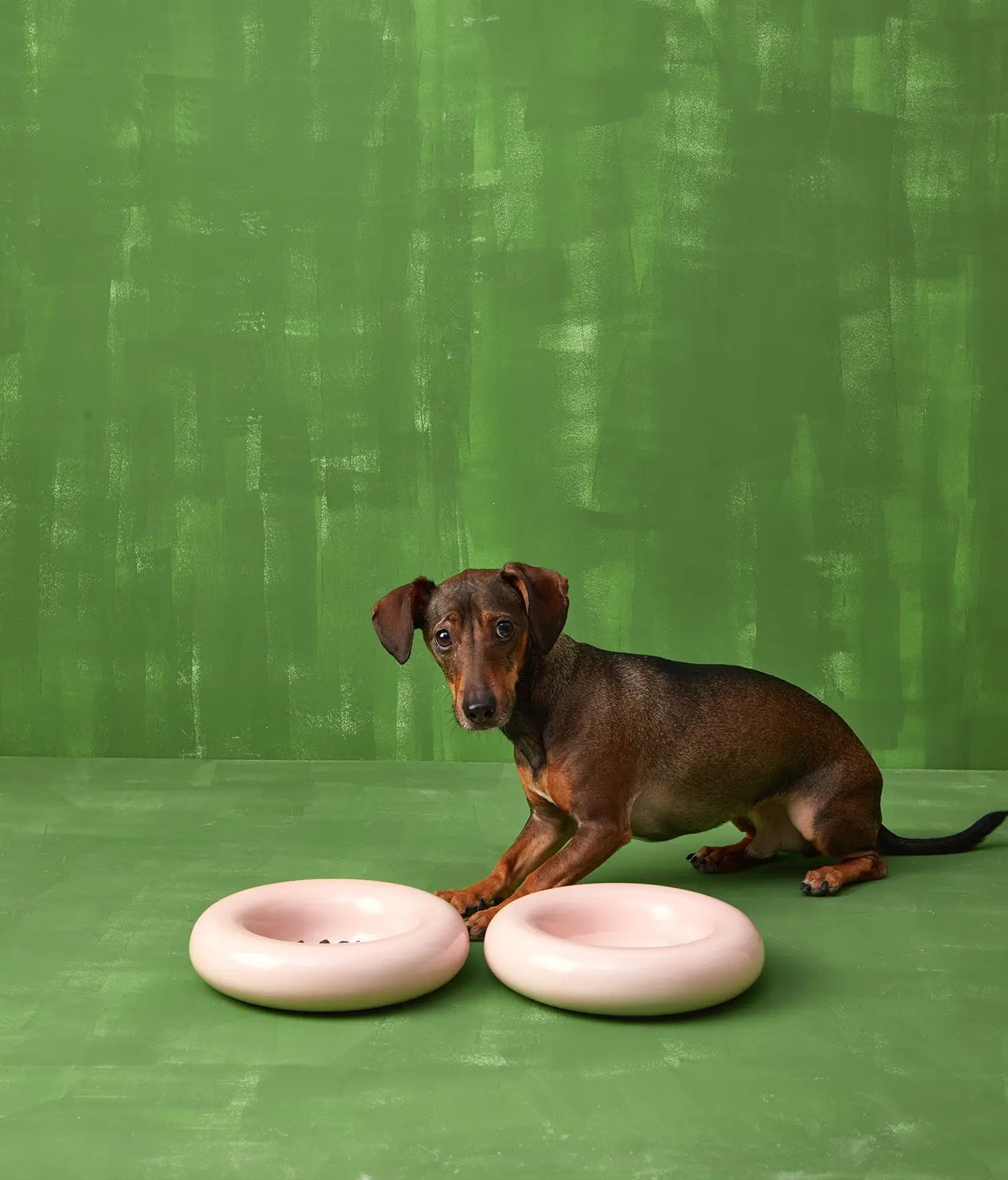 Pink ceramic dog feeder x1