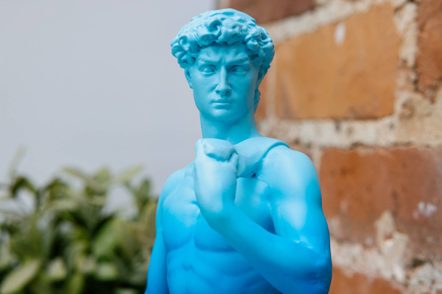 Statue - David - Michelangelo