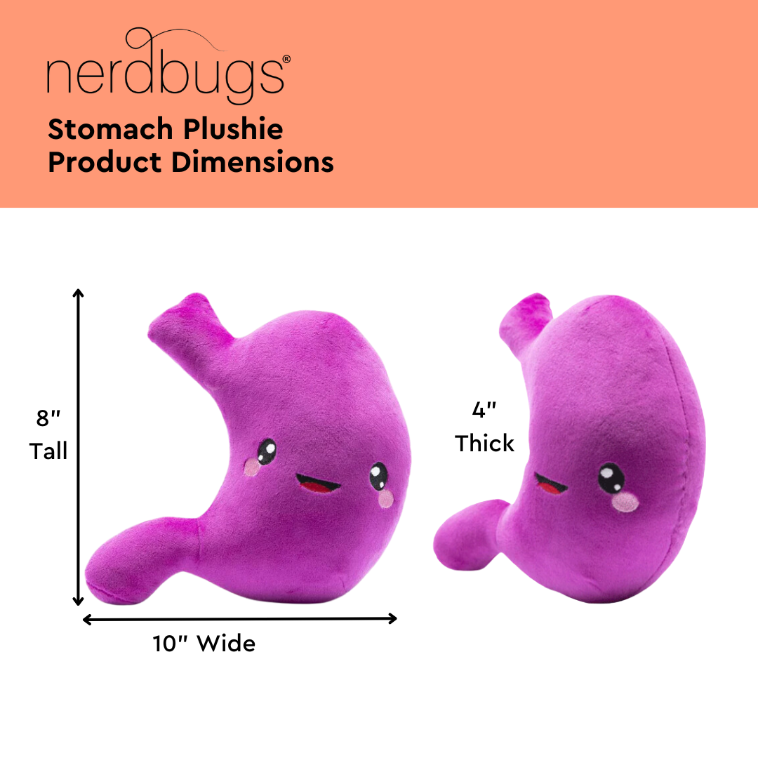Stomach Plush Organ - I've gut a good feeling about this
