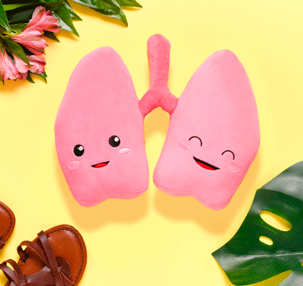 Lung Plush Organ - We be lung together!