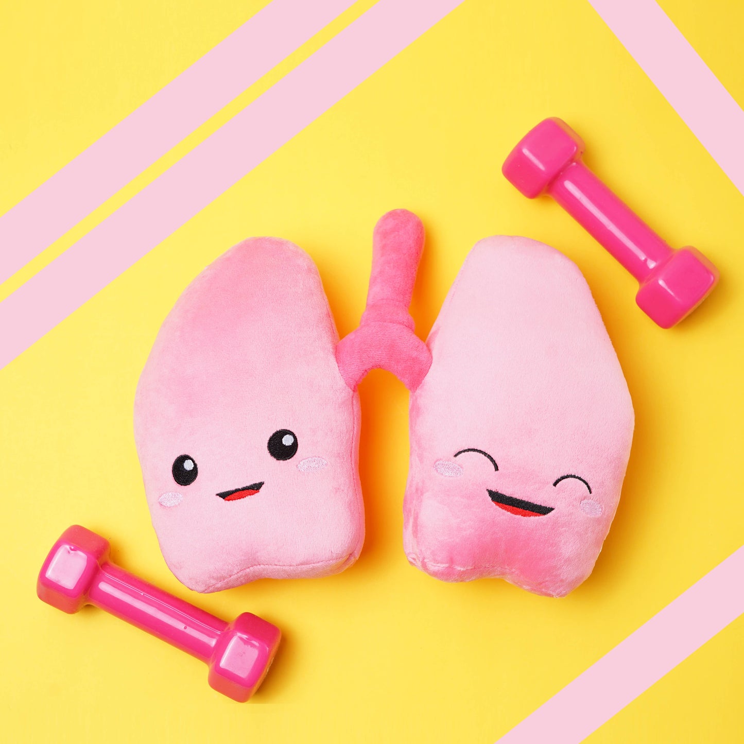Lung Plush Organ - We be lung together!