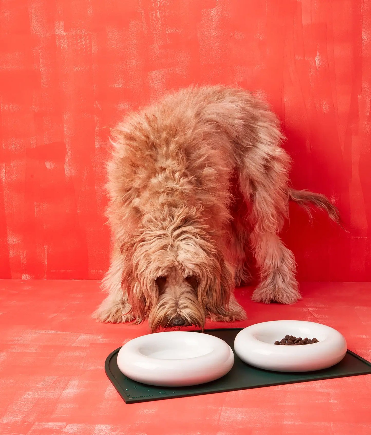 White or pink ceramic dog feeder - small x1