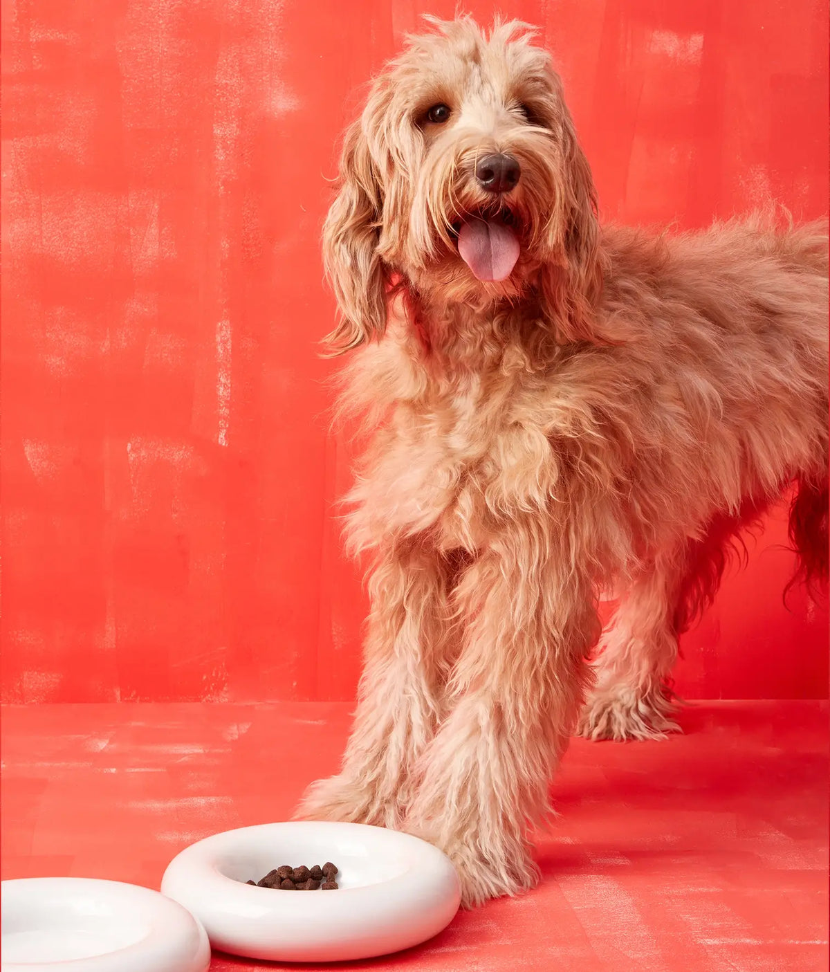 HotDog Ceramic Tubular Dog Feeder Large