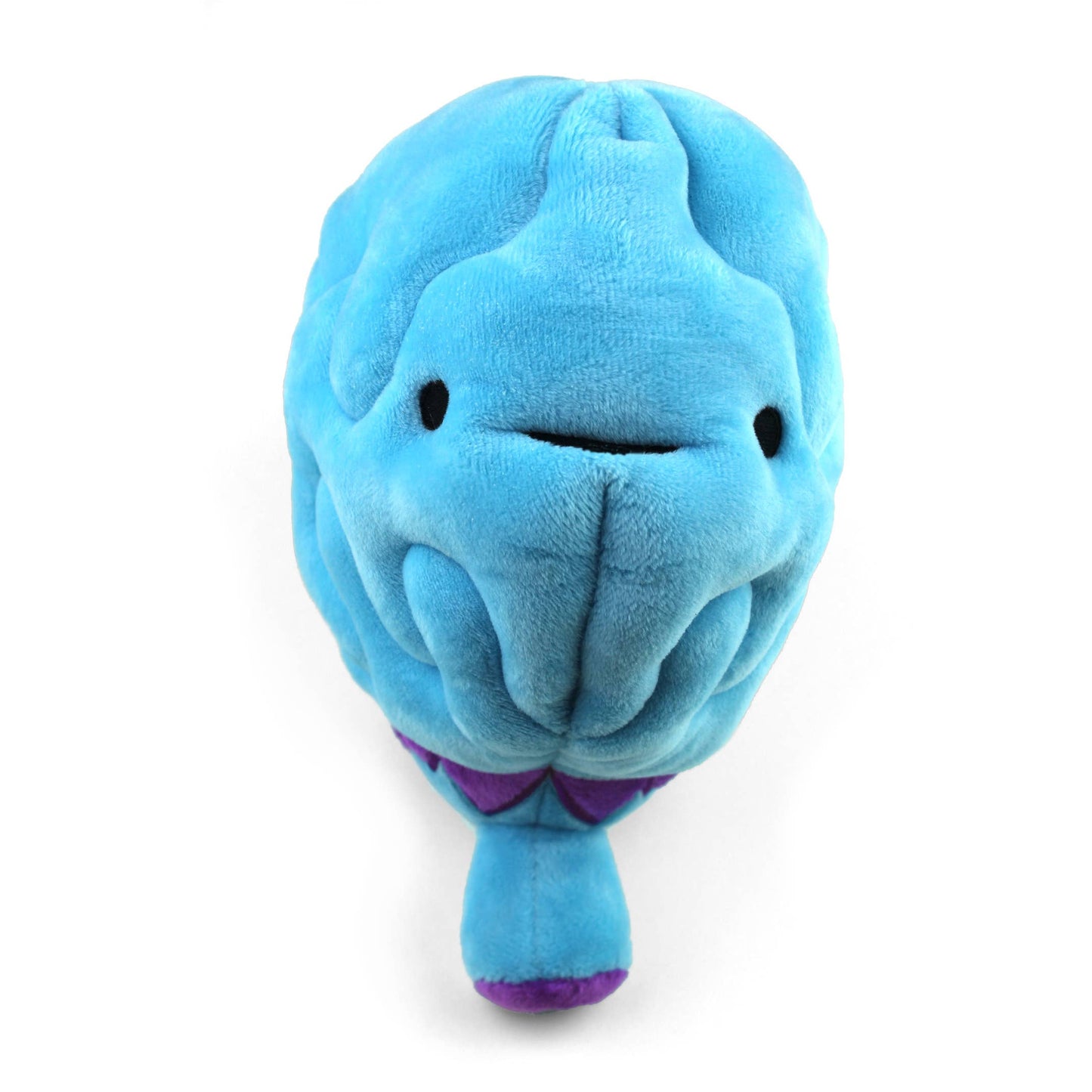 Brain Plush - All You Need Is Lobe