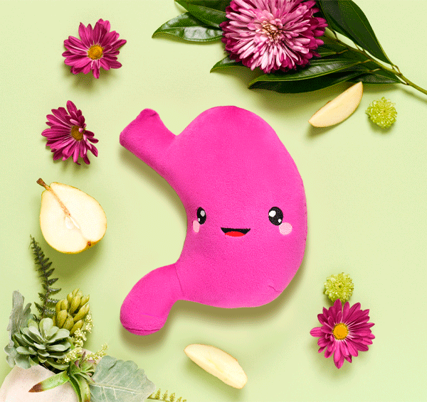 Stomach Plush Organ - I've gut a good feeling about this