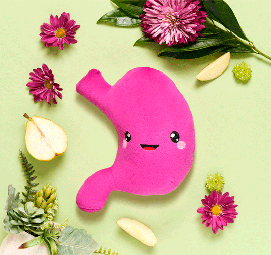 Stomach Plush Organ - I've gut a good feeling about this
