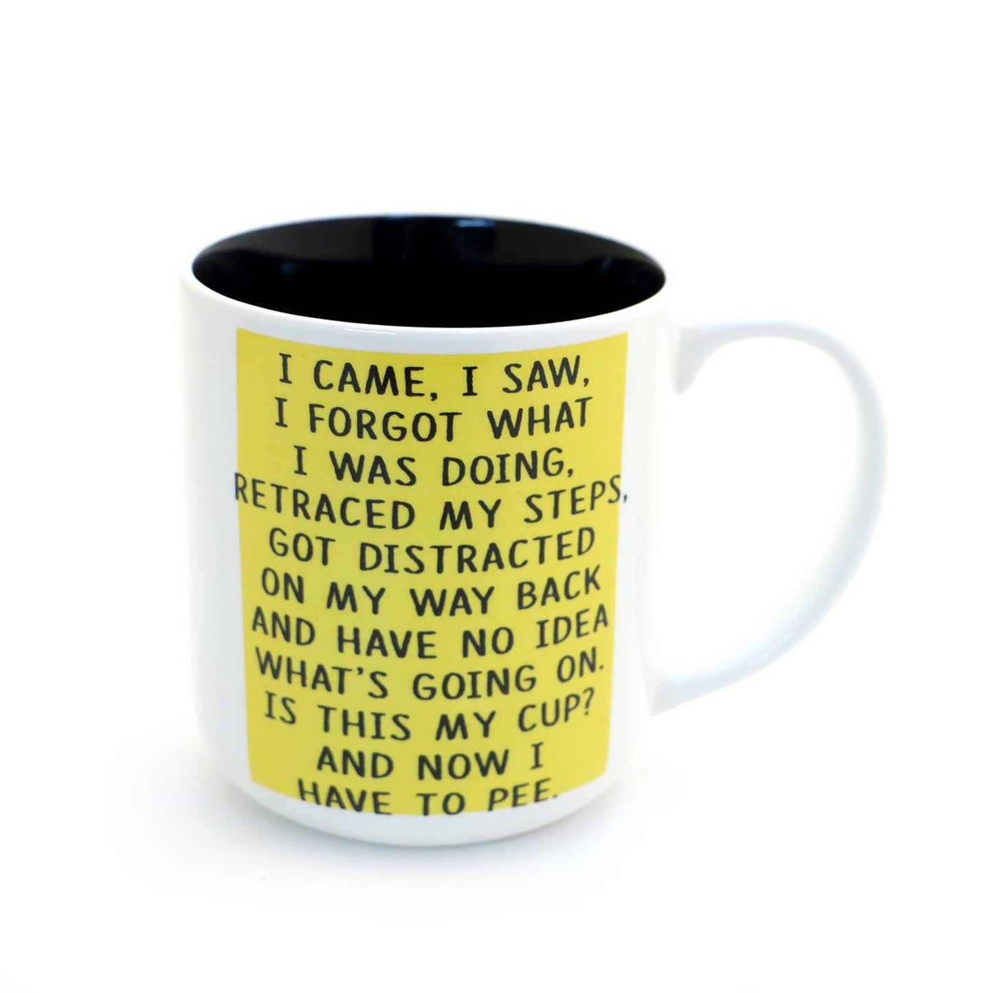 I Came I Saw mug, middle aged, birthday mug, funny adulting