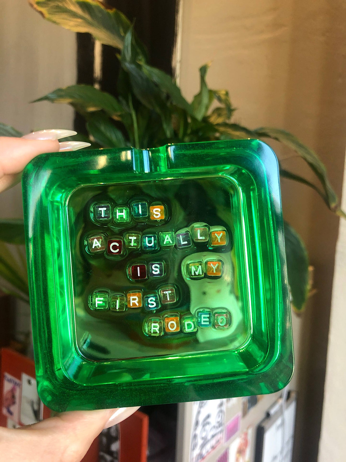 'This actually is my first rodeo' Tray