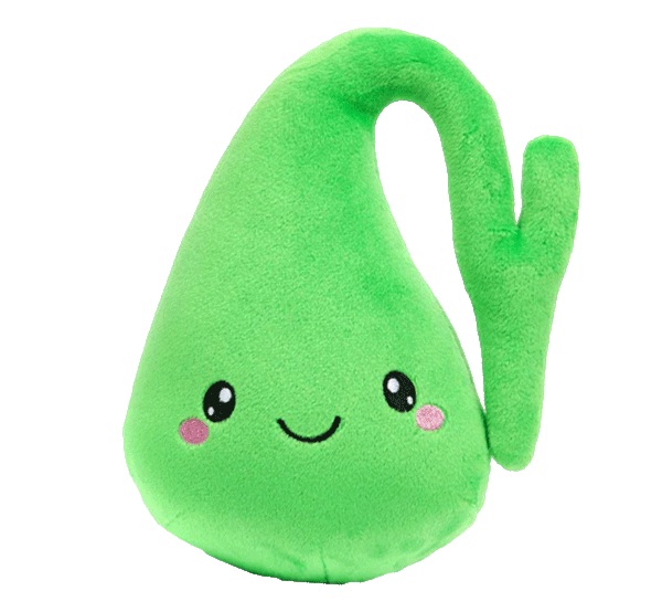 Gallbladder Plush Organ - Who you gonna gall? Stone buster!