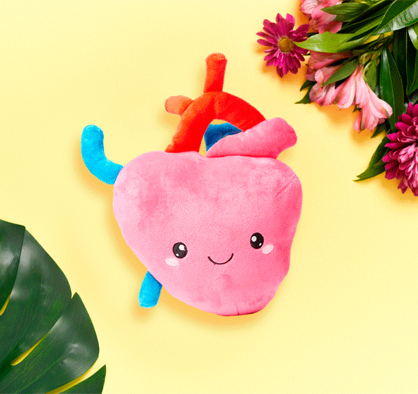 Heart Plush Organ - I aorta to tell you how much I love yo