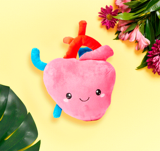 Heart Plush Organ - I aorta to tell you how much I love yo