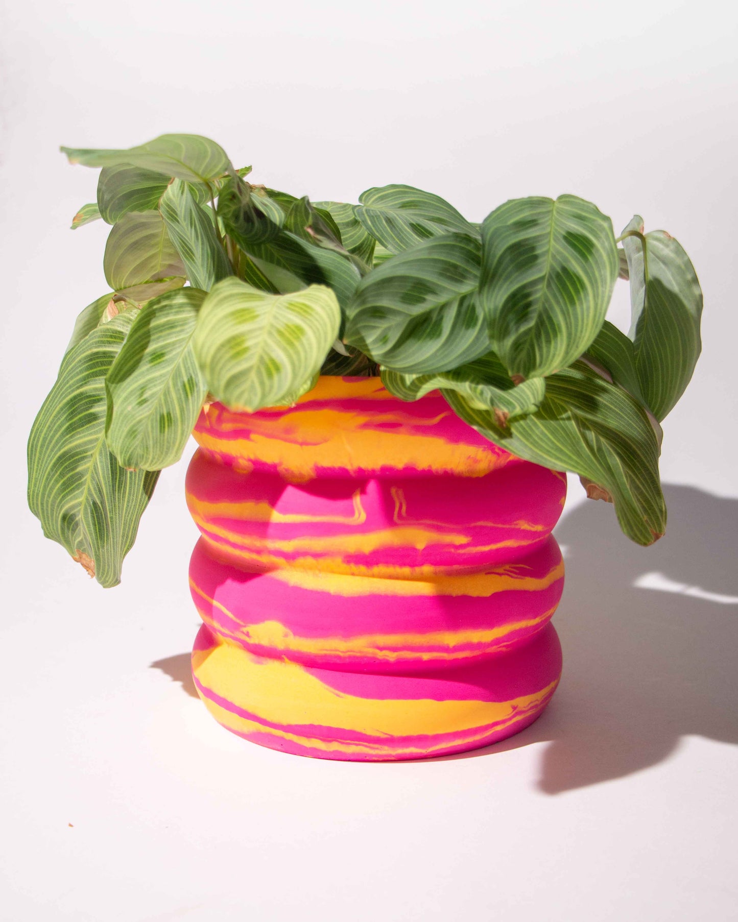 Bubble marble plant pot | large size