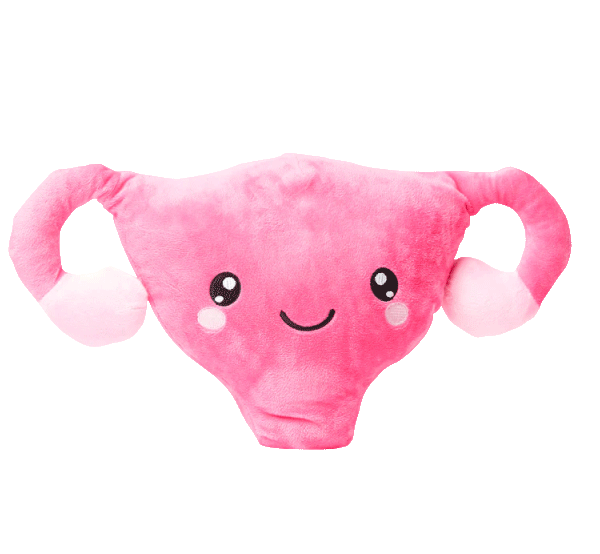 Uterus Plush Organ - Who put the cuter us in uterus?