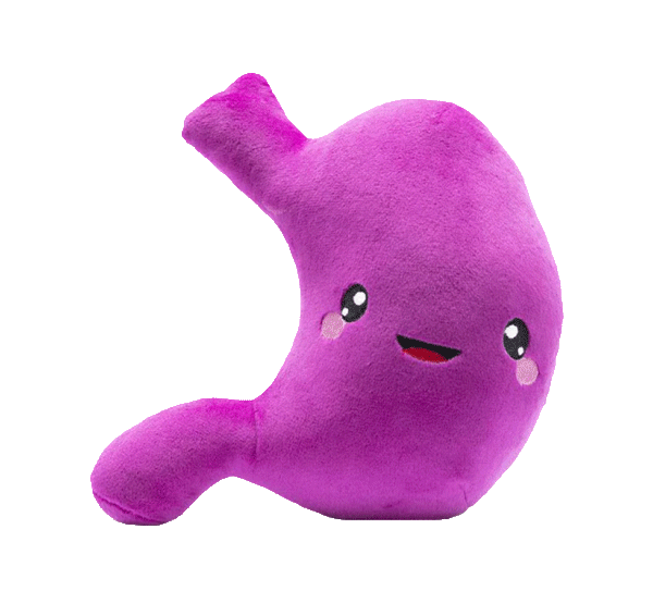 Stomach Plush Organ - I've gut a good feeling about this