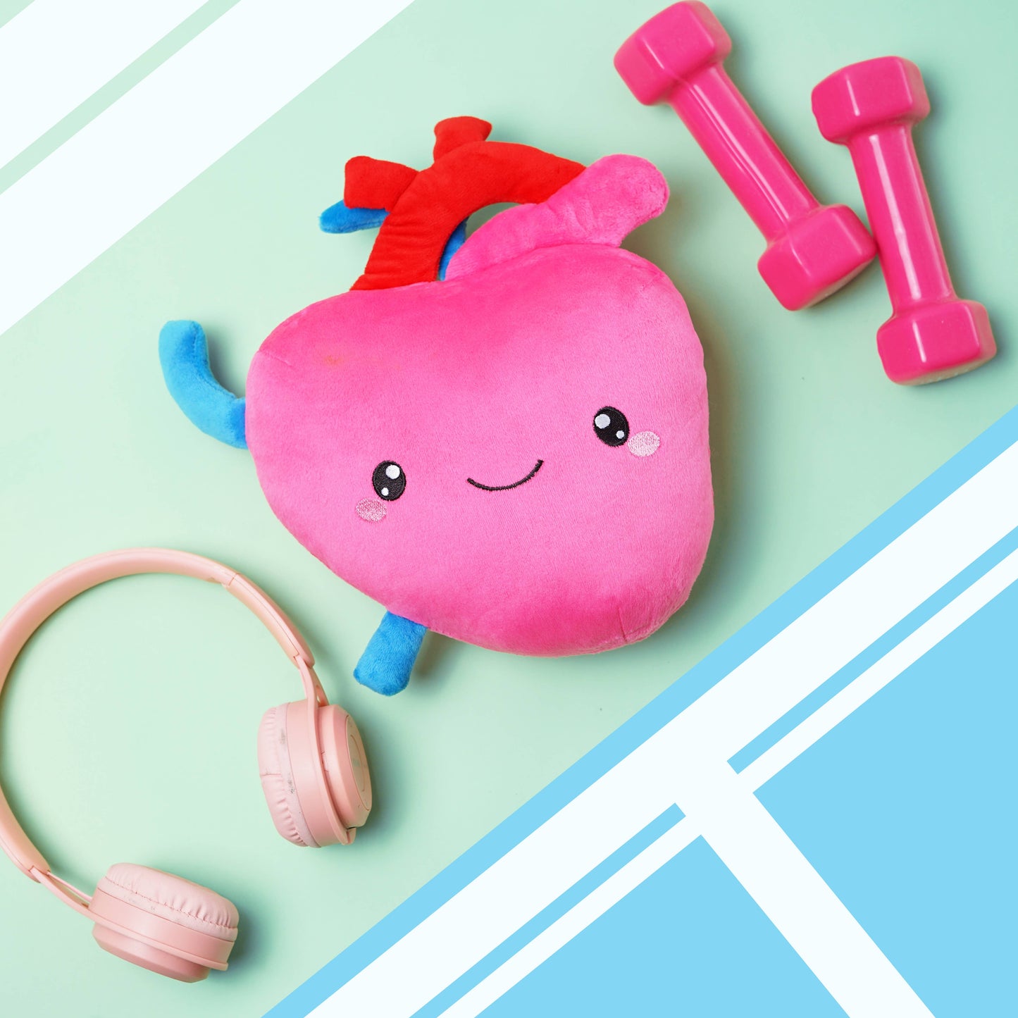 Heart Plush Organ - I aorta to tell you how much I love yo