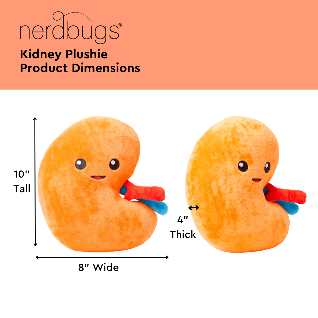 Kidney Plush Organ - Urine for a treat!