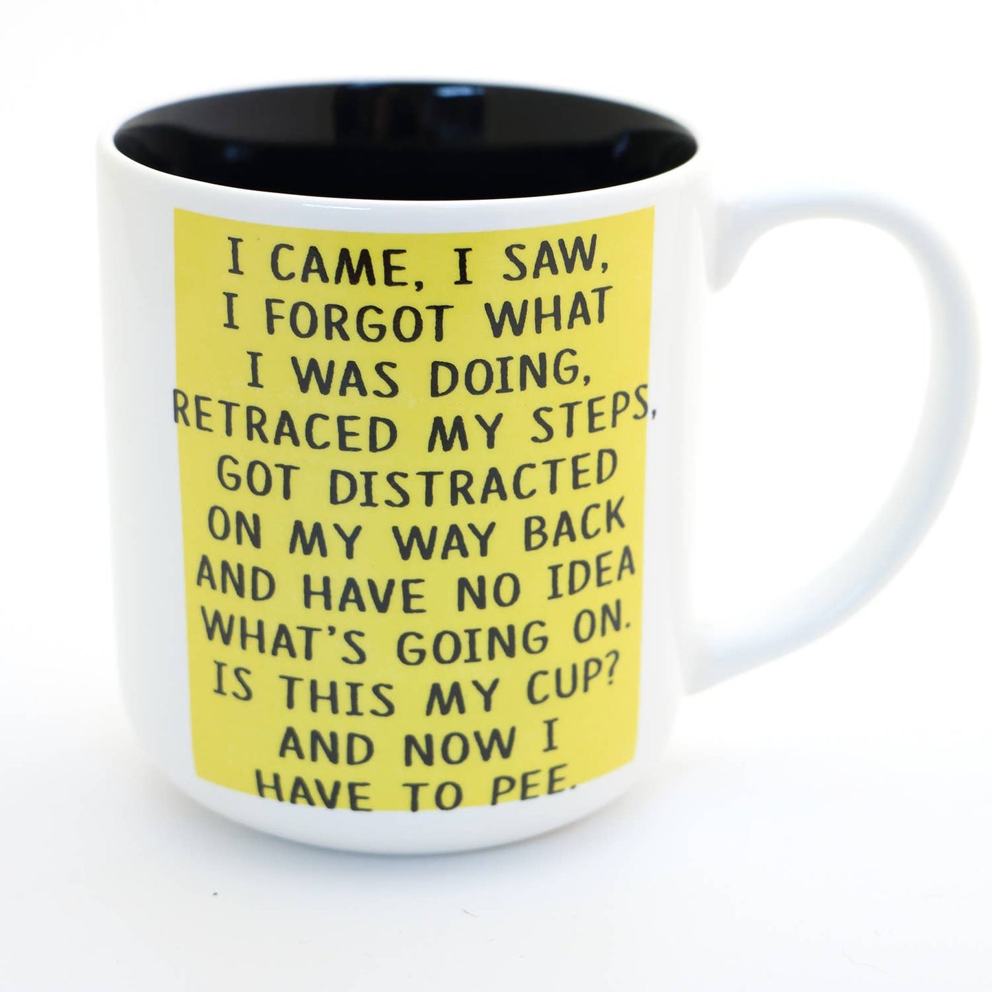 I Came I Saw mug, middle aged, birthday mug, funny adulting