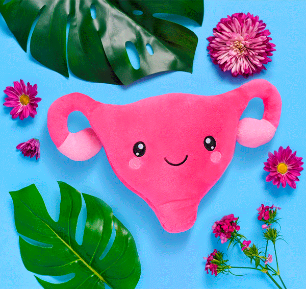 Uterus Plush Organ - Who put the cuter us in uterus?