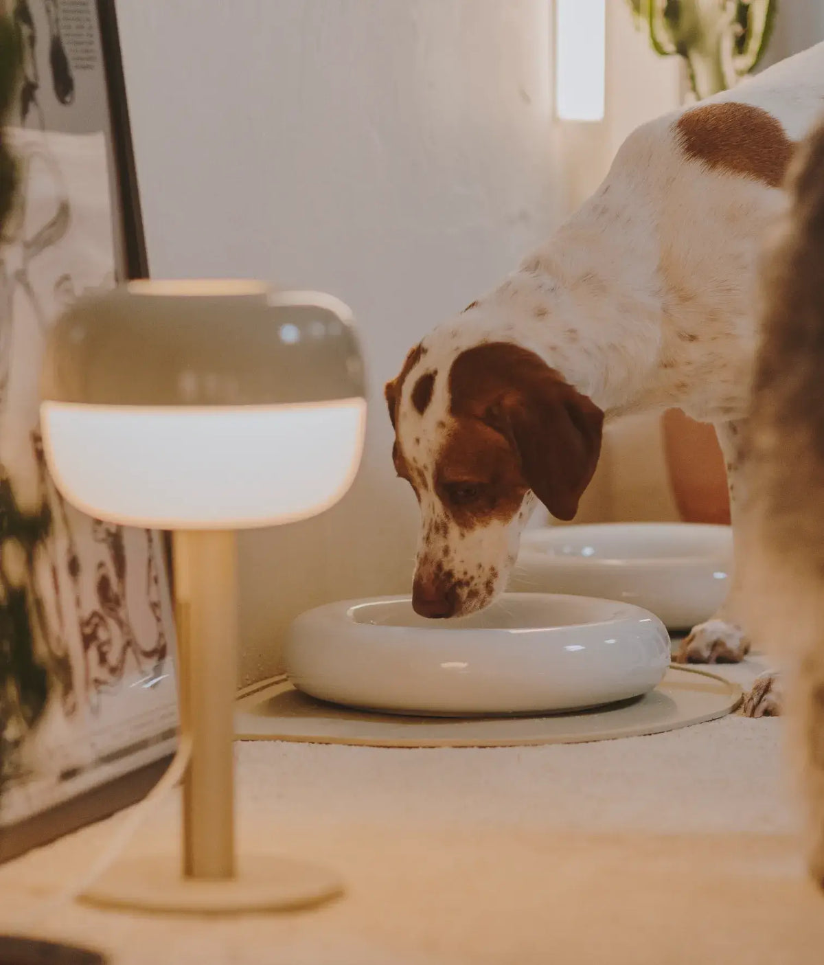 HotDog Ceramic Tubular Dog Feeder Large