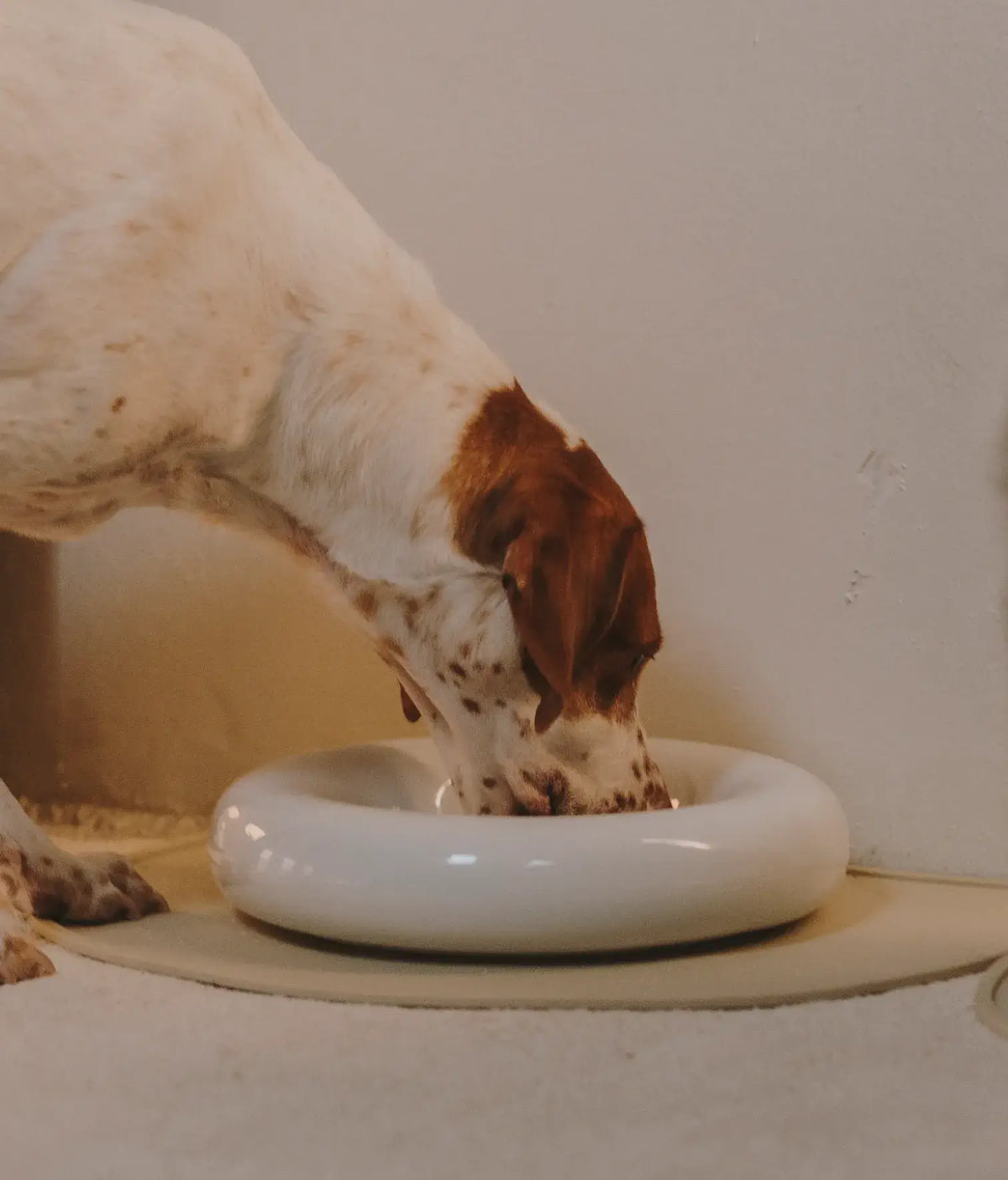 HotDog Ceramic Tubular Dog Feeder Large
