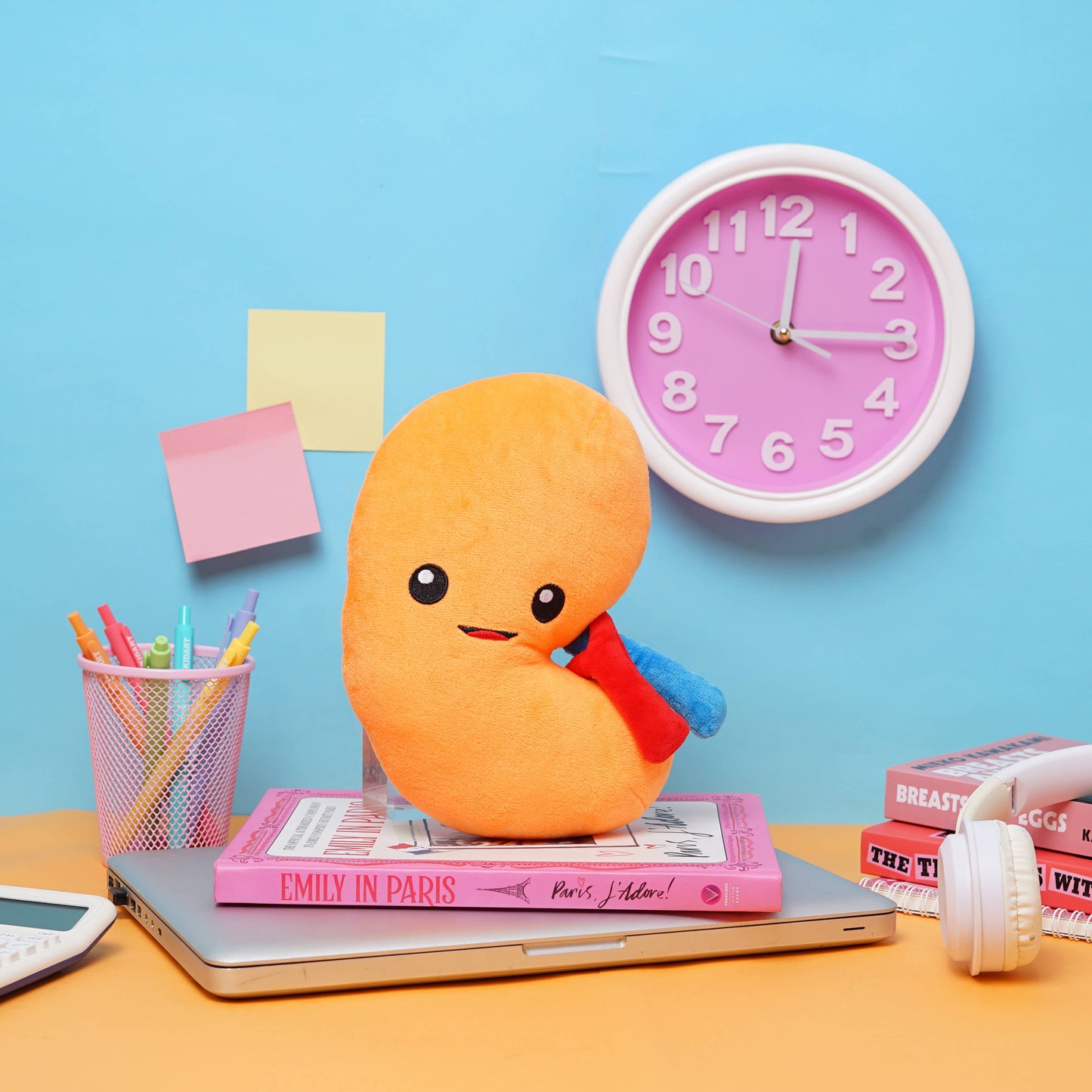 Kidney Plush Organ - Urine for a treat!