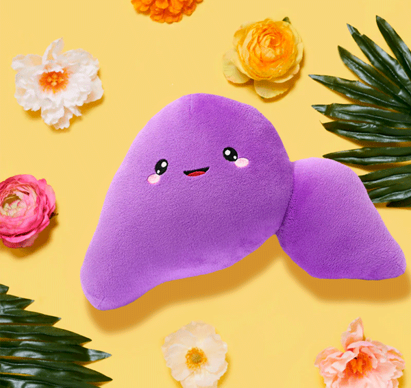 Liver Plush Organ - Go on, liver little!
