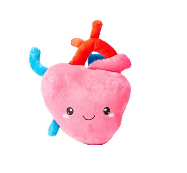 Heart Plush Organ - I aorta to tell you how much I love yo