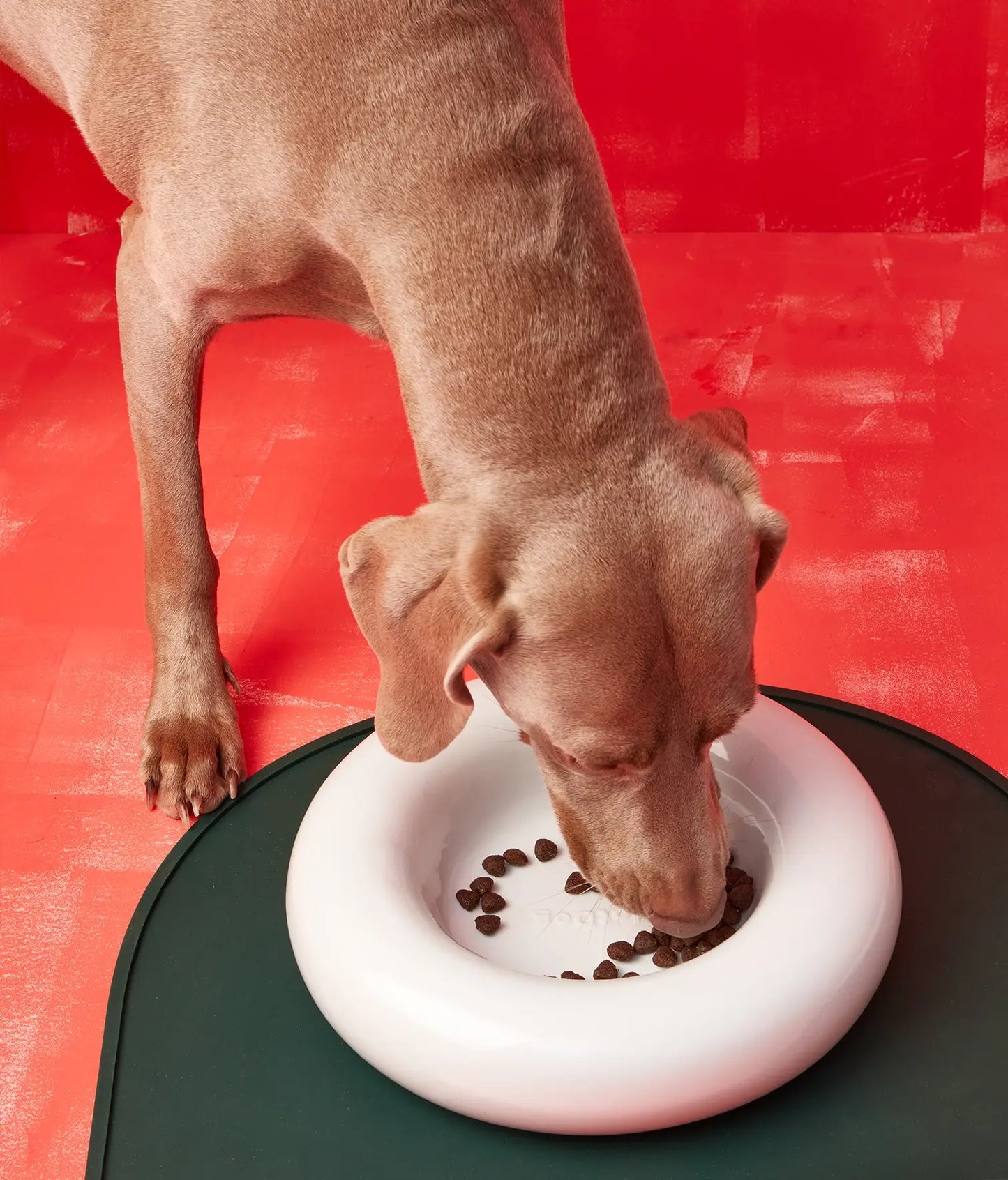 White or pink ceramic dog feeder - small x1