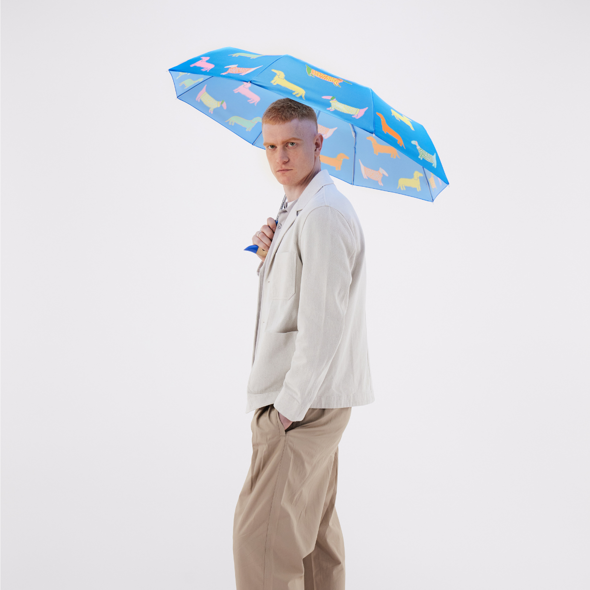 Dogs in Blue & Pink Duckhead Umbrella