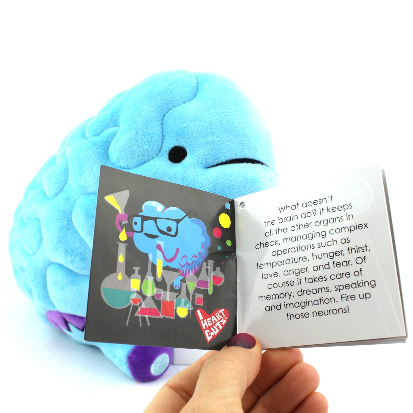 Brain Plush - All You Need Is Lobe