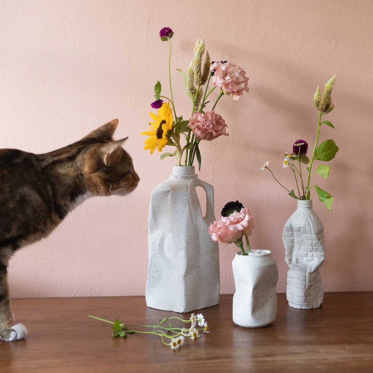 The Garbage Collection: Water Bottles