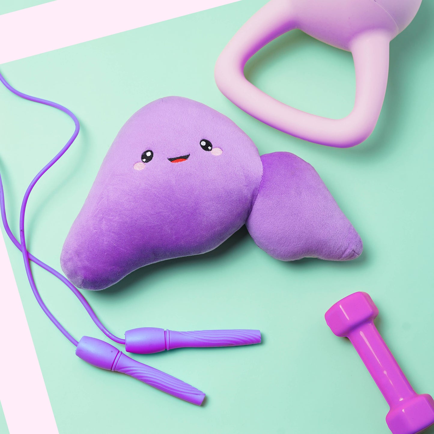 Liver Plush Organ - Go on, liver little!