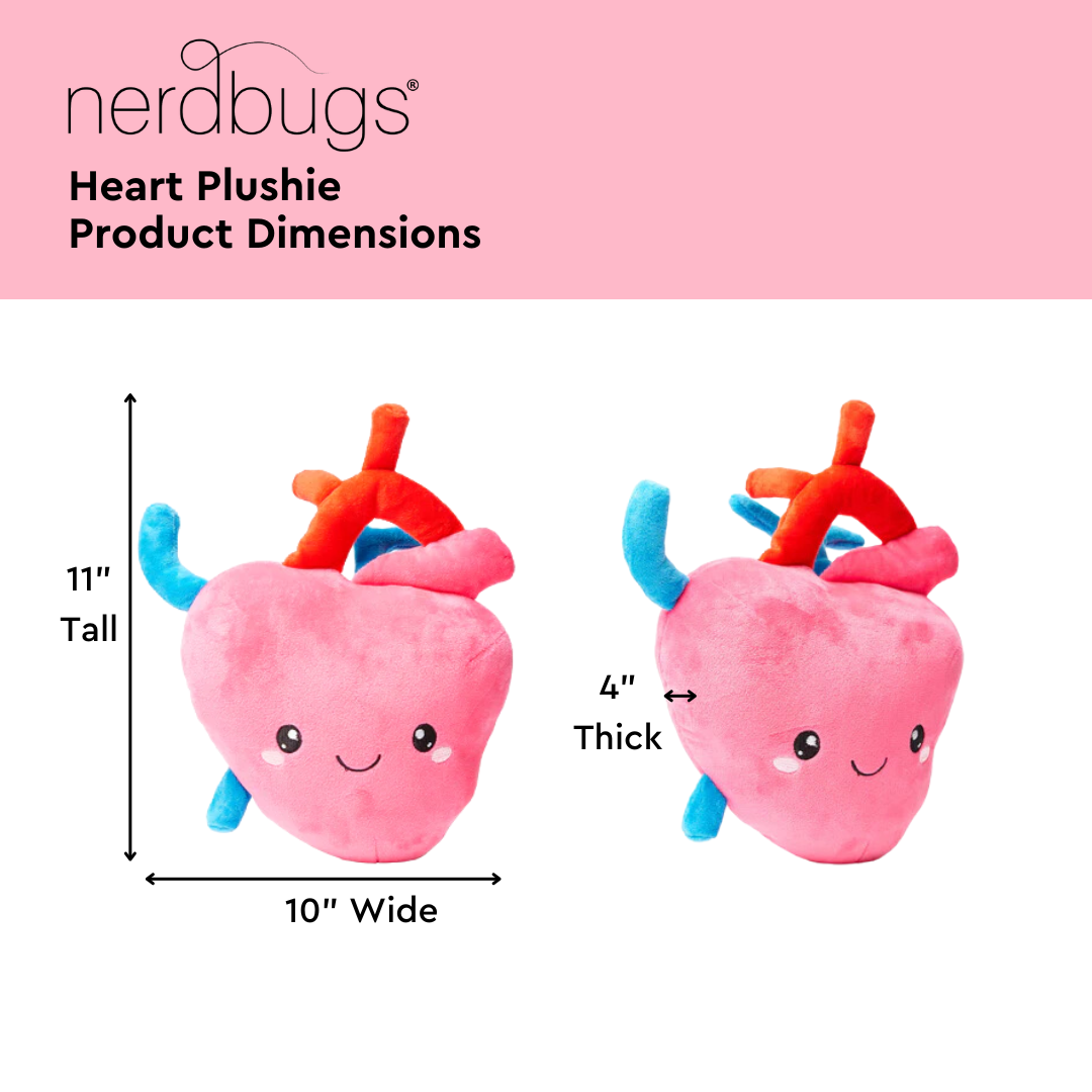 Heart Plush Organ - I aorta to tell you how much I love yo