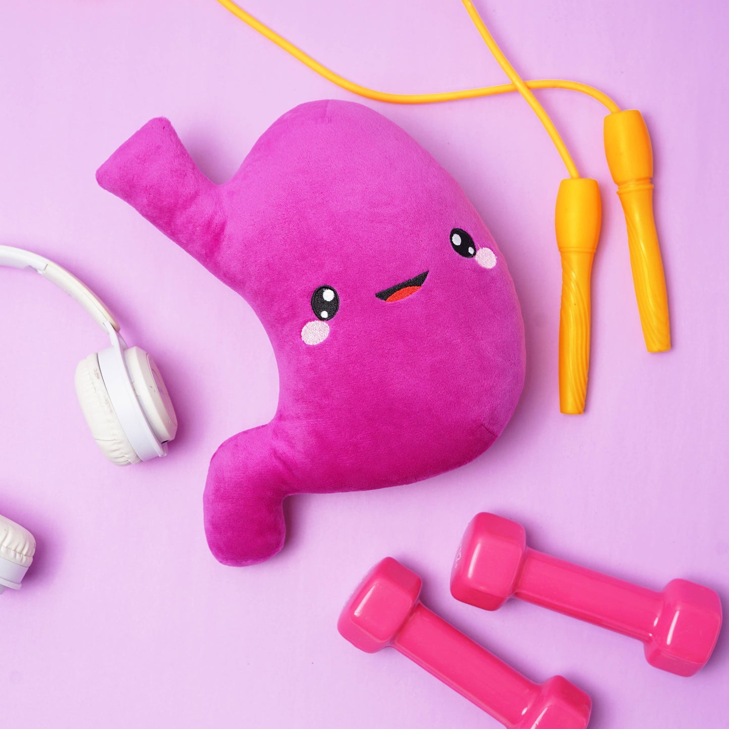 Stomach Plush Organ - I've gut a good feeling about this