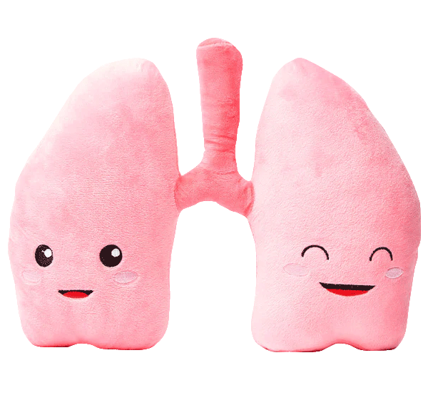 Lung Plush Organ - We be lung together!