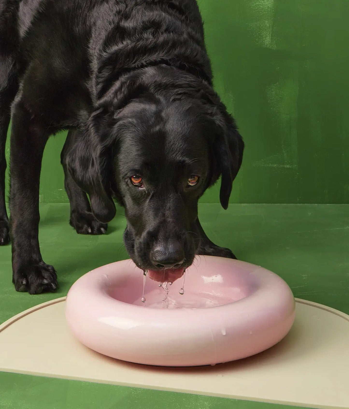Pink ceramic dog feeder x1