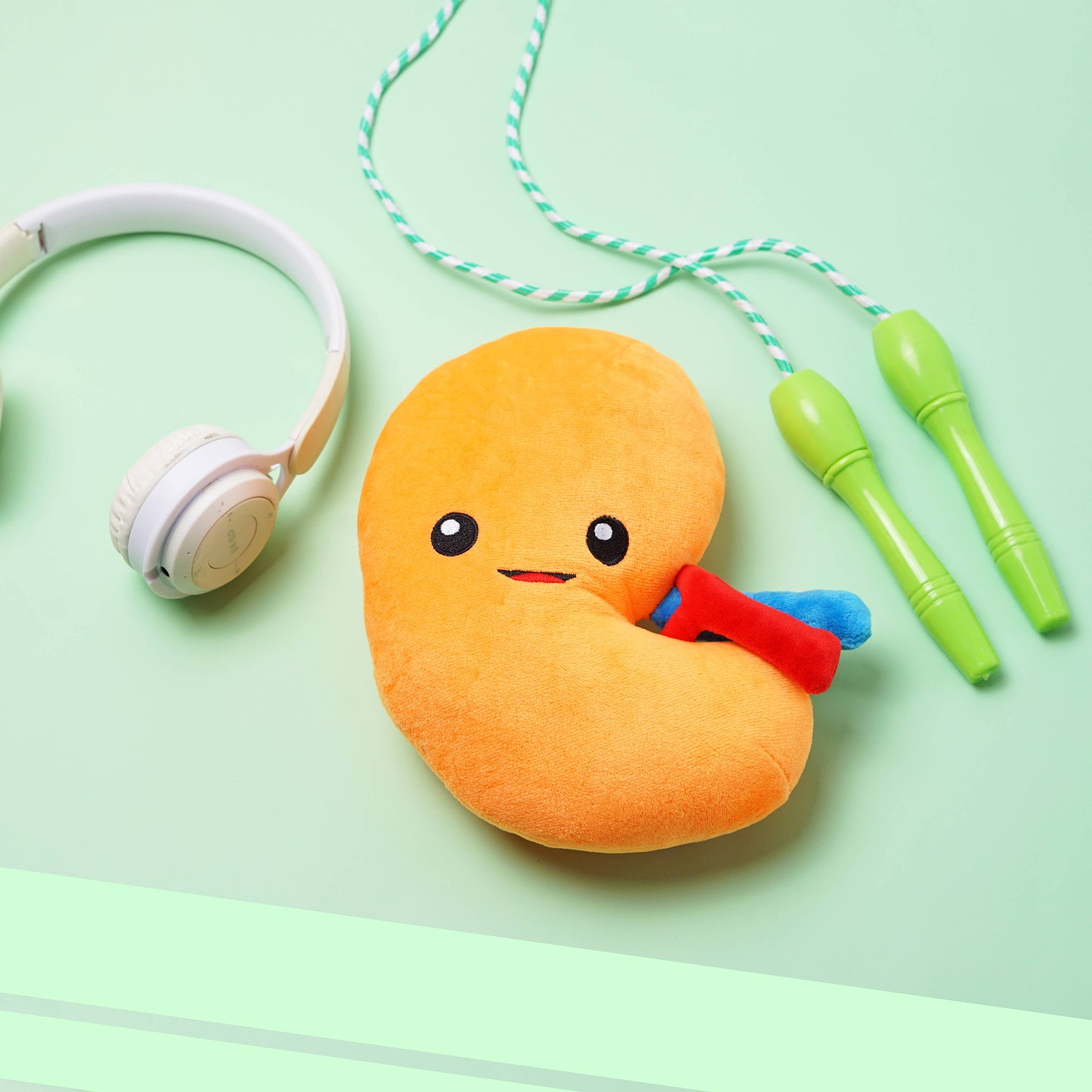 Kidney Plush Organ - Urine for a treat!