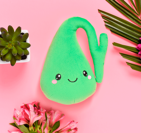 Gallbladder Plush Organ - Who you gonna gall? Stone buster!